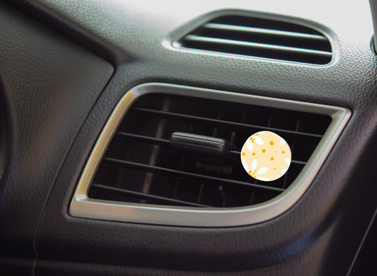 Hand-Painted Car Diffuser Clip - Assorted Designs