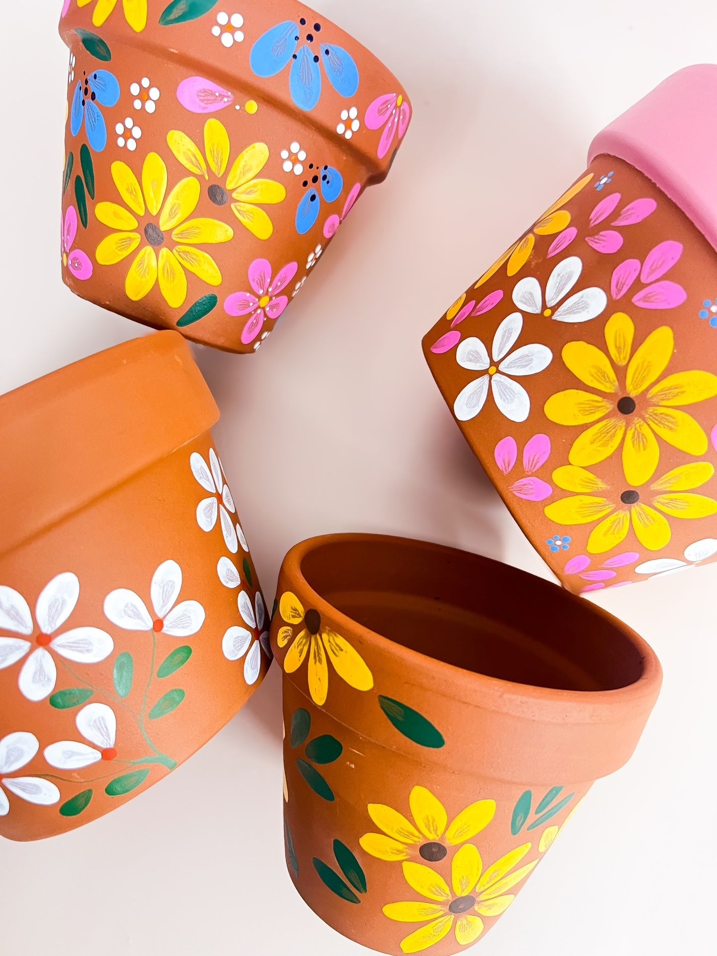 Indoor Pot Plant Painting Workshop - Creative Freedom