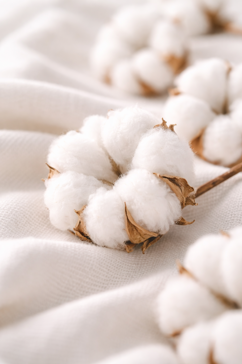 Apothecary Diffuser | Fresh + Breezy - Clean Cotton