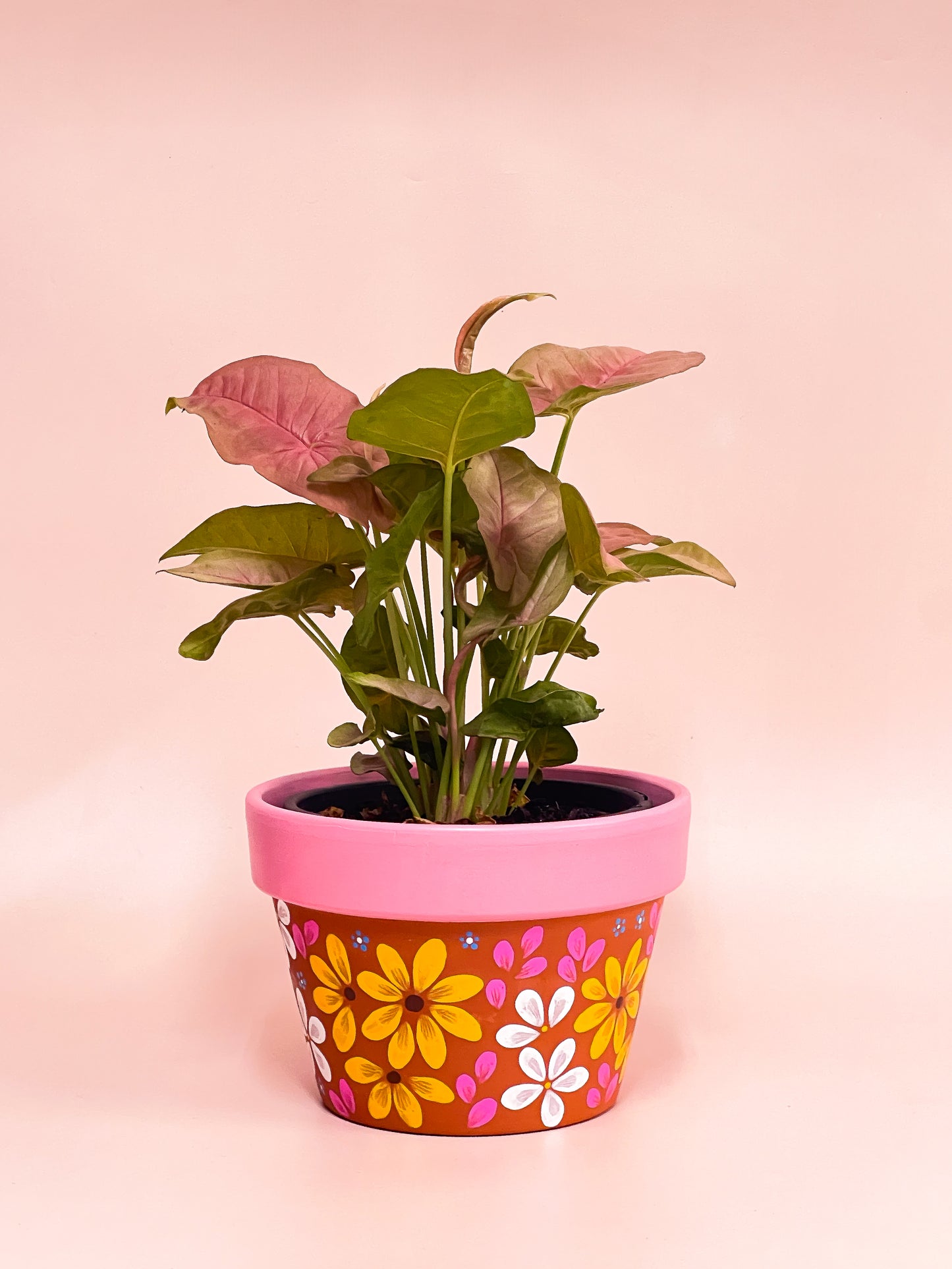 Indoor Pot Plant Painting Workshop - Creative Freedom