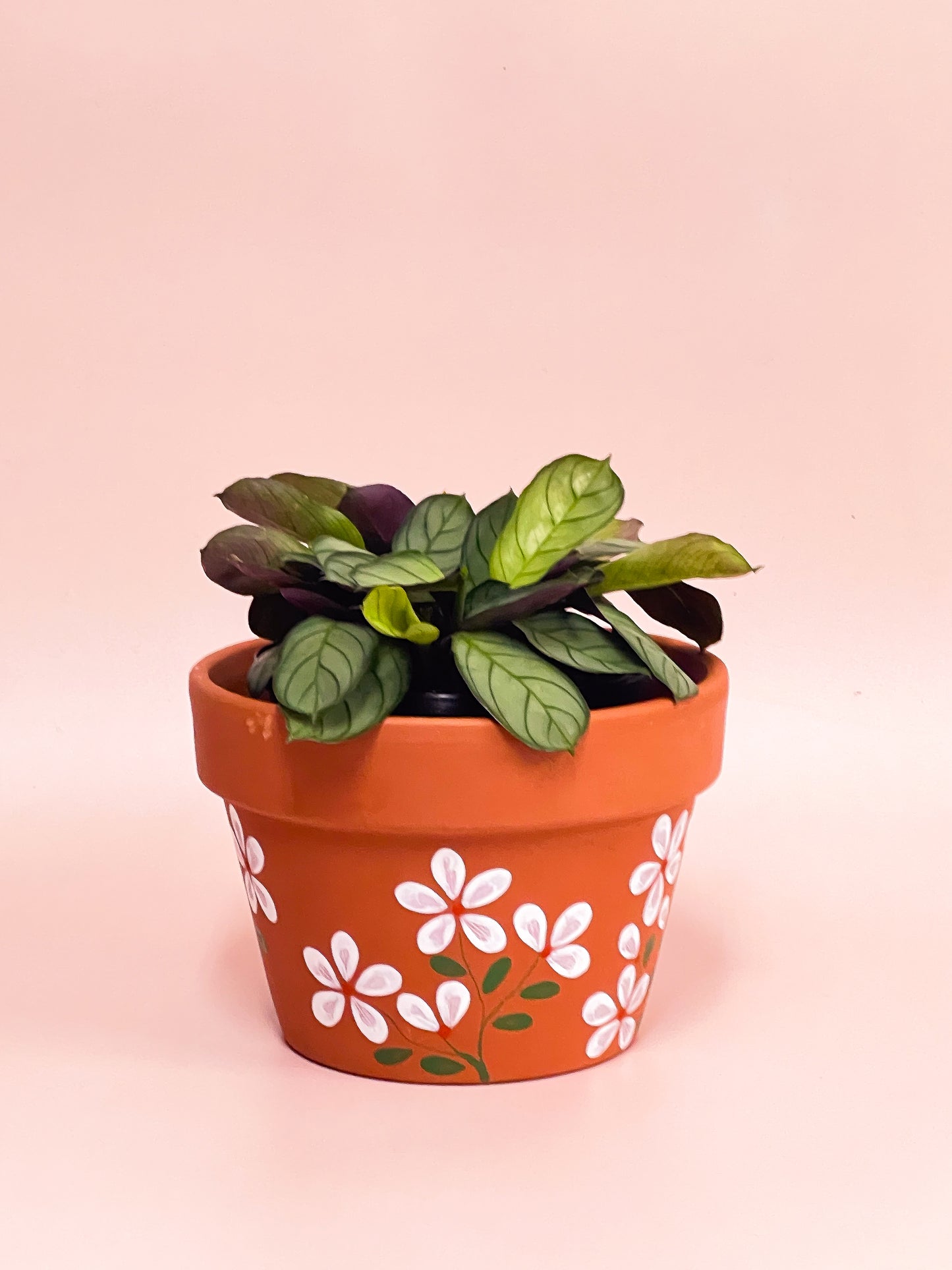 Indoor Pot Plant Painting Workshop - Creative Freedom